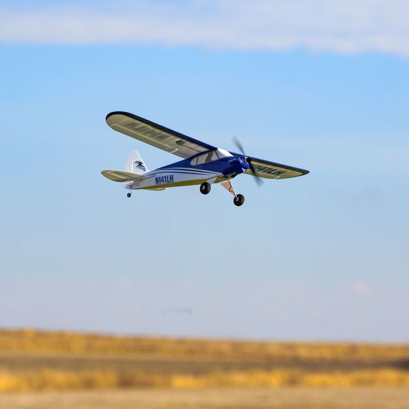 Sport cub 2025 s bnf