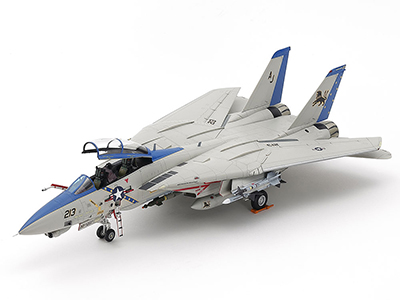VF-213 "Blacklions" CAG Bird, 2006