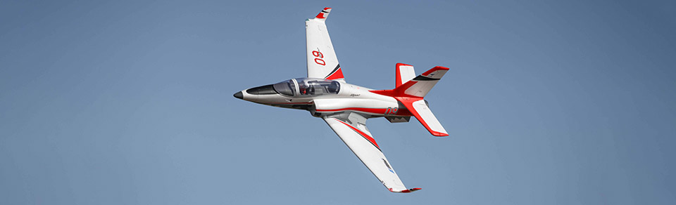Large-scale Viper model
