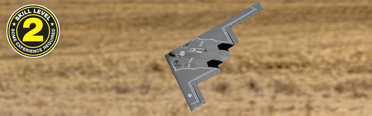 E-flite Micro B-2 Spirit of America