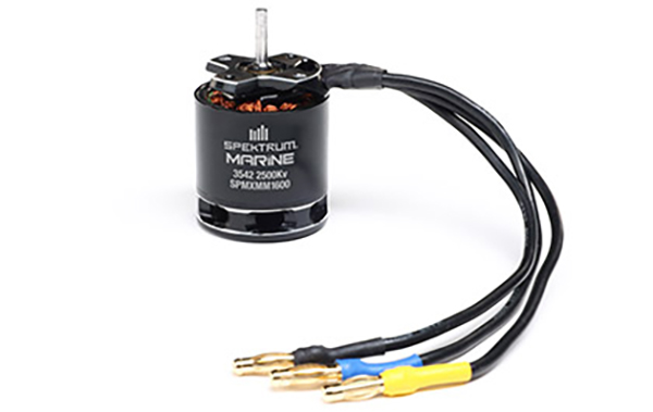 BRUSHLESS MARINE MOTOR