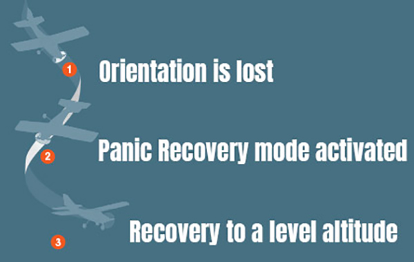 Panic Recovery