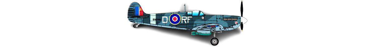 hobbyboss-80212-spitfire-mk-vb-raf-303-sqn--paint-scheme