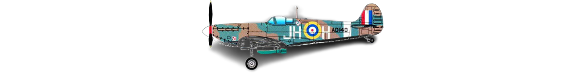 hobbyboss-80212-spitfire-mk-vb-raf-317-sqn-141-paint-scheme