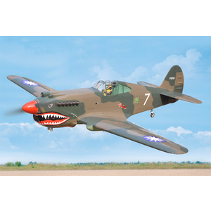 Black Horse P-40C Tomahawk 60cc ARTF w/retracts BH161