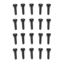 Dualsky H-Screw 3x10, 20pcs Hornet460 DSH21014