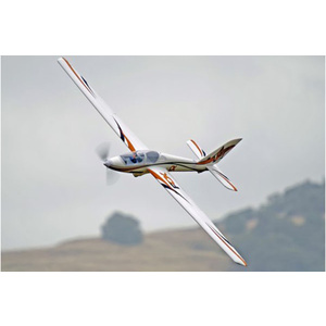 FMS 3000mm (118") Fox RC Glider  #FMS107P