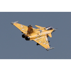 FMS 80mm Rafale EDF RC Jet