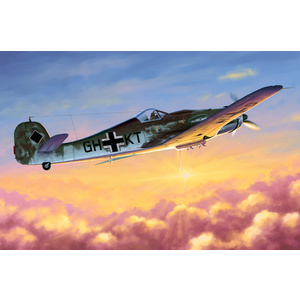 Focke-Wulf FW190D-10 1/48 Model 81717