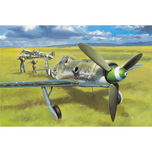  1/48 Focke-Wulf FW190D-13 Plastic Model Kit 81721