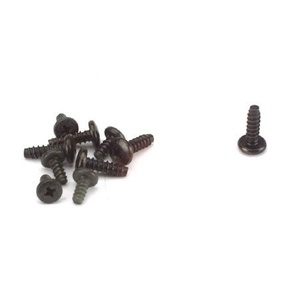 Hitec Servo Horn Screw For Hitec Nylon Gear Servos (10 Pcs)  55801