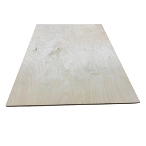 Aircraft Grade Birch Plywood 6mm 12 Ply 300x1200mm
