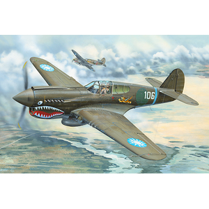 Trumpeter P-40E War Hawk 1/32 Scale Model 02269