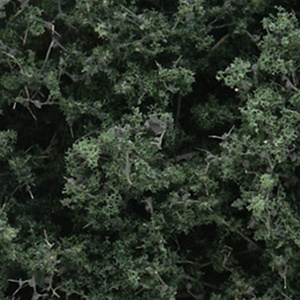 Fine-Leaf Foliage (Dark Green) for Landscaping and Scenery F1130