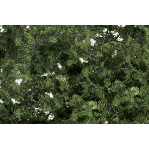 Fine-Leaf Foliage (Medium Green) for Landscaping and Scenery F1131