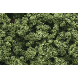 Fine-Leaf Foliage for Landscaping and Scenery f1132