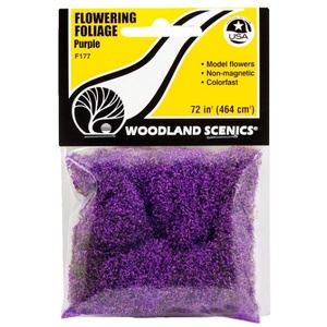 Flowering Foliage Purple for Landscaping and Scenery F177