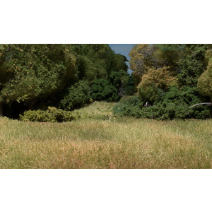 Woodland Scenics - Plant Hues  FS629