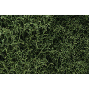 Lichen Medium Green (1.5 Quarts)  L163