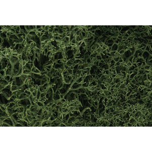 Lichen Medium Green (1.5 Quarts) #L163