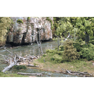 Woodland Scenics Dead Fall 1/2 oz for Landscaping and Scenery (14g)