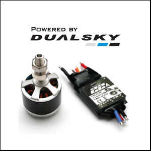 DUALSKY Motors