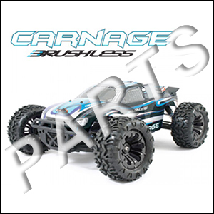 FTX Carnage 1/10th 4WD Brushless Truggy FTX5543 Parts